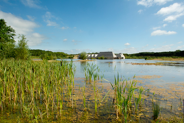 brockholes.org