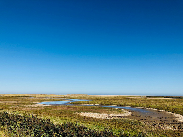 © Trudie Davidson/norfolkwildlifetrust.org.uk