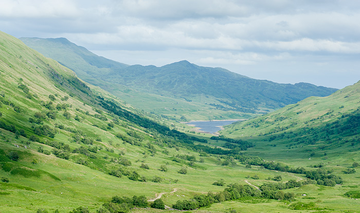 © Niall Benvie/woodlandtrust.org.uk